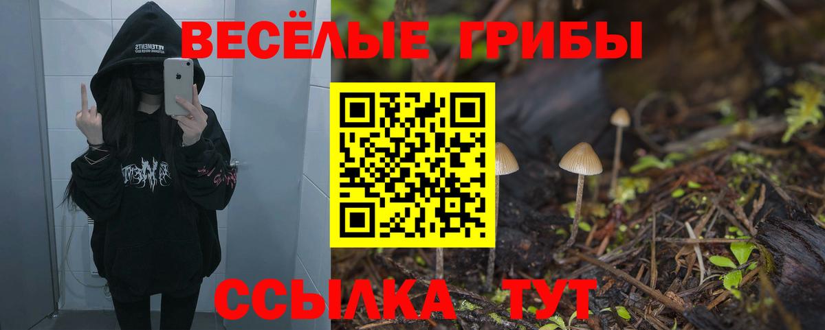 Галлюциногенные грибы MAGIC MUSHROOMS  Галлюциногенные грибы ЛСД  Вход с VPN  Баксан 